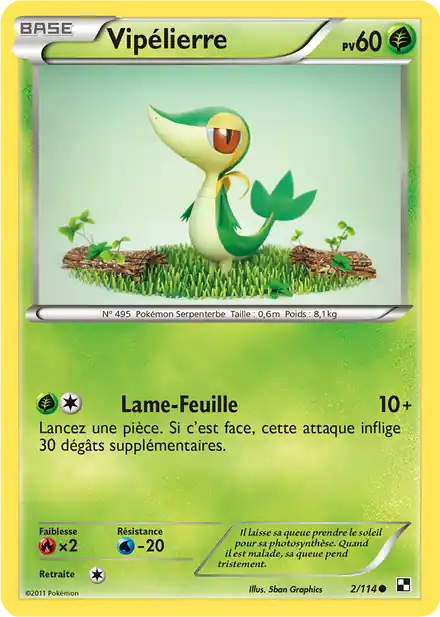 Vipélierre