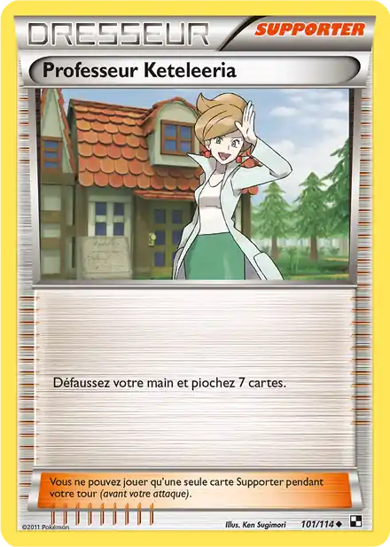 Professeur Keteleeria