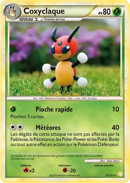 Coxyclaque