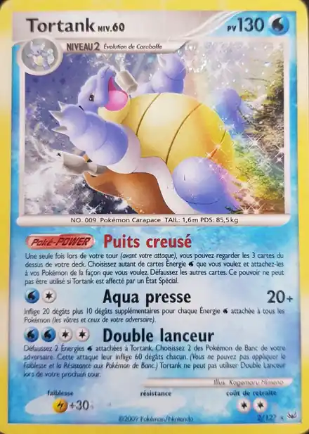 Tortank Lv.60