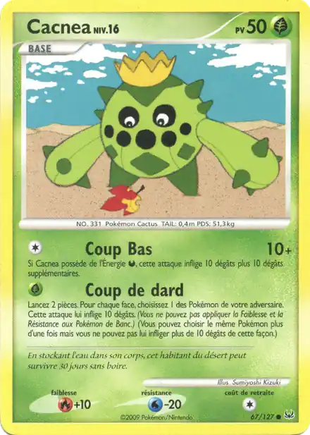 Cacnea Lv.16