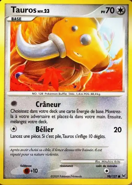Tauros Lv.23