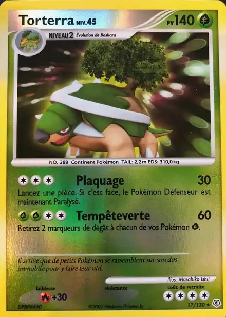 Torterra Lv.45