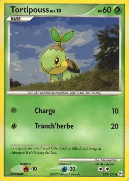 Tortipouss Lv.10