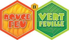 EX Rouge Feu & Vert Feuille