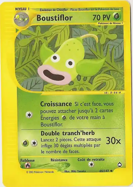 Boustiflor