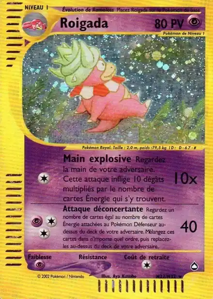 Roigada