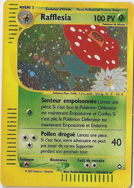 Rafflesia