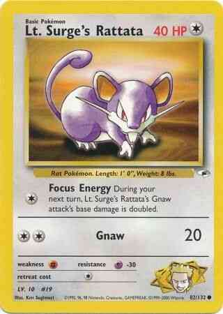 Rattata de Major Bob