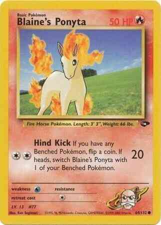 Ponyta d'Auguste