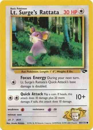 Rattata de Major Bob