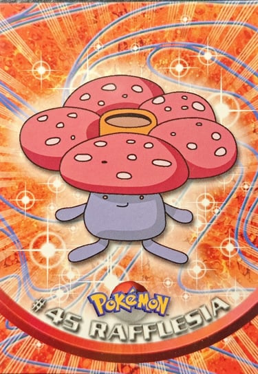 Rafflesia