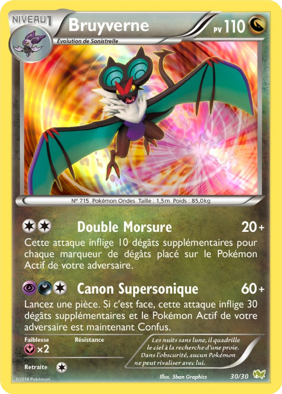 Bruyverne