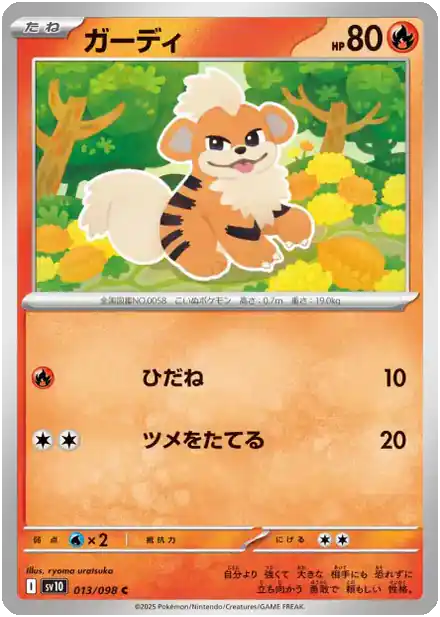 Caninos - Gloire de la Team Rocket