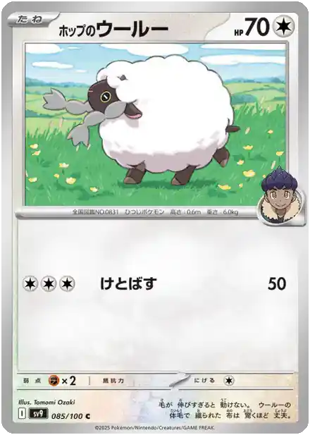 Wooloo de Nabil - Partenaires de Combat