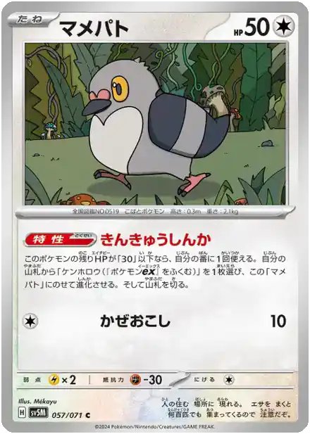 Poichigeon