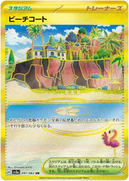 Terrain de Plage (sv3a 091)