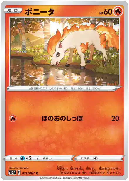 Ponyta