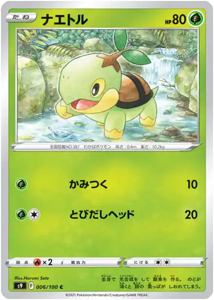 Tortipouss
