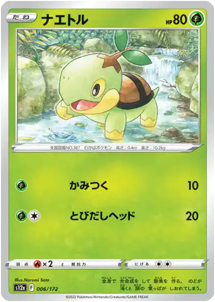 Tortipouss