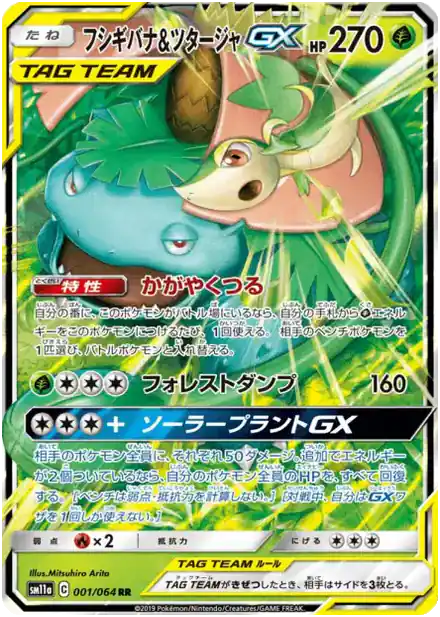 Venusaur & Snivy GX