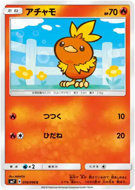 Torchic