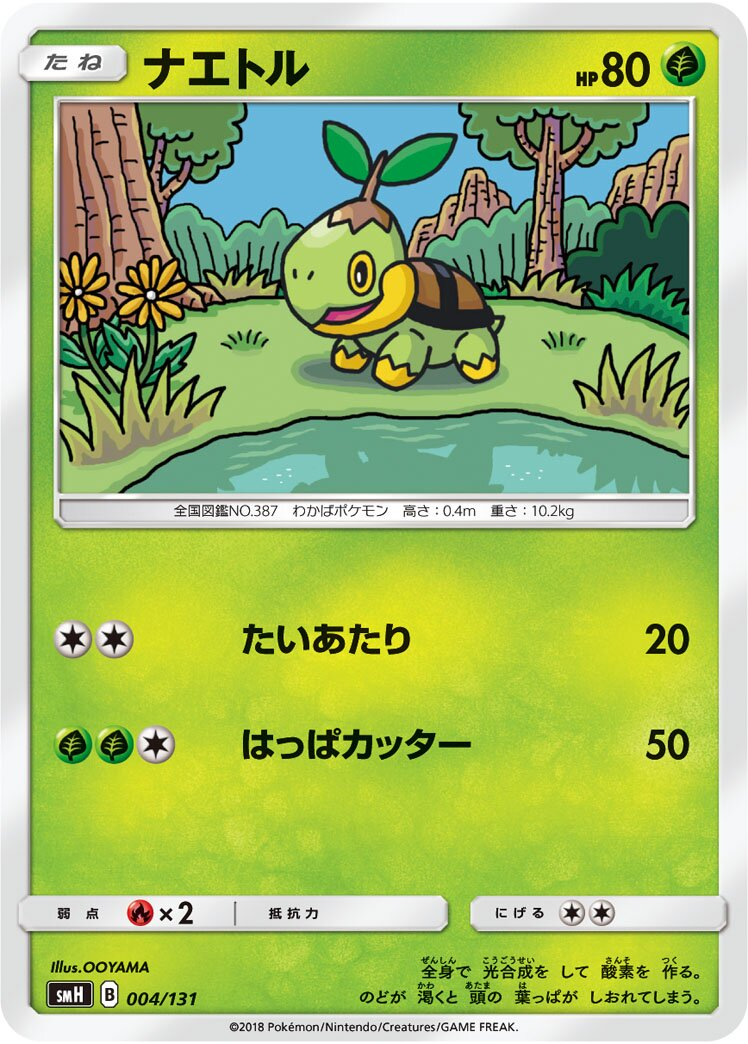 Tortipouss