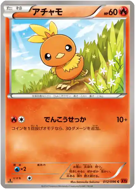 Torchic