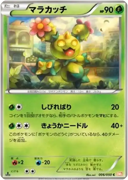 Maractus