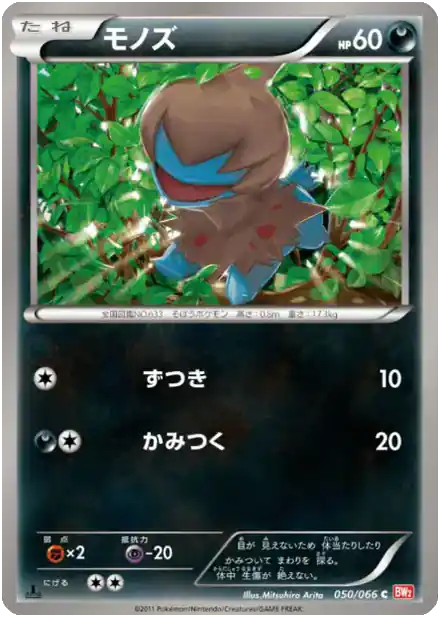 Solochi
