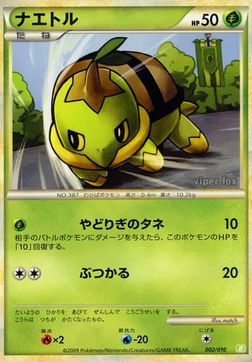 Tortipouss
