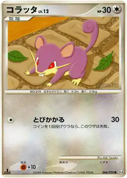 Rattata Lv.12