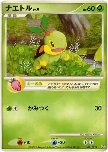 Tortipouss Lv.9