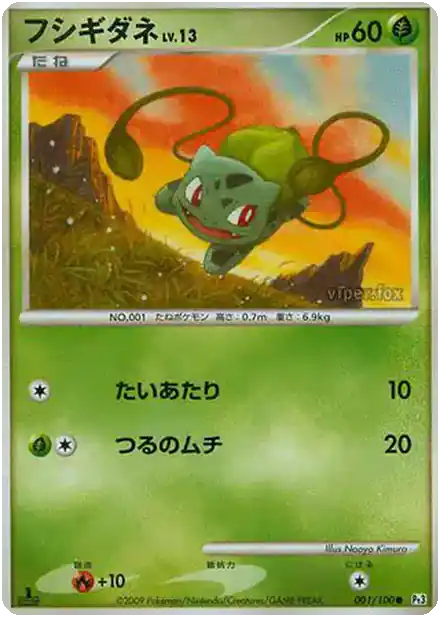 Bulbizarre Lv.13