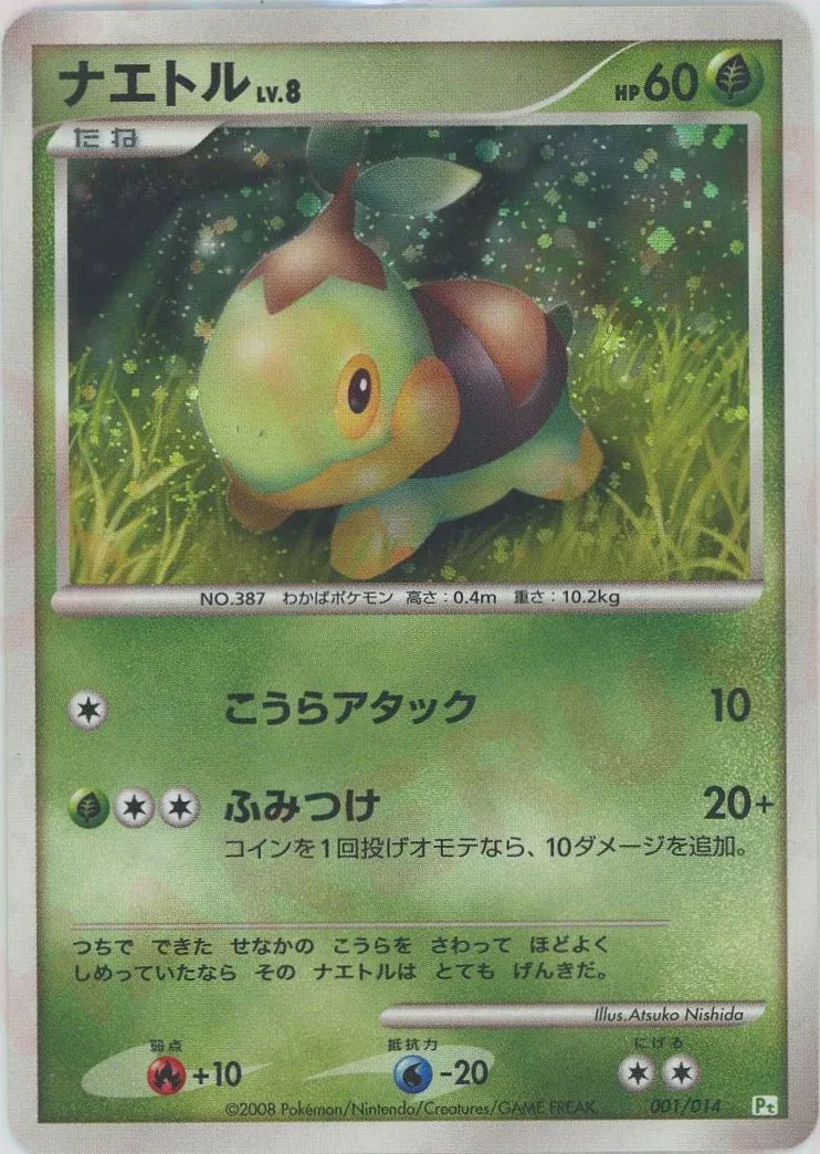 Tortipouss