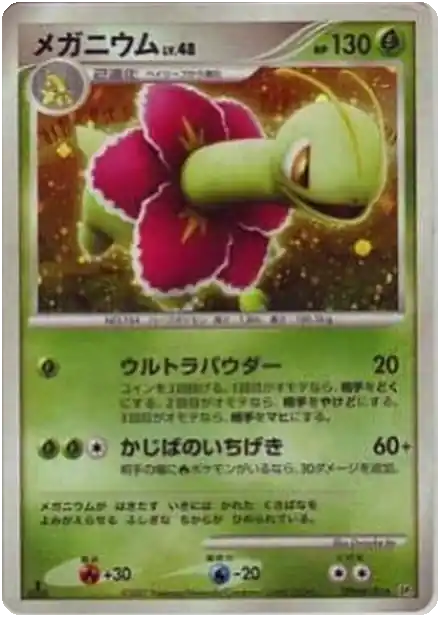 Meganium Lv.48