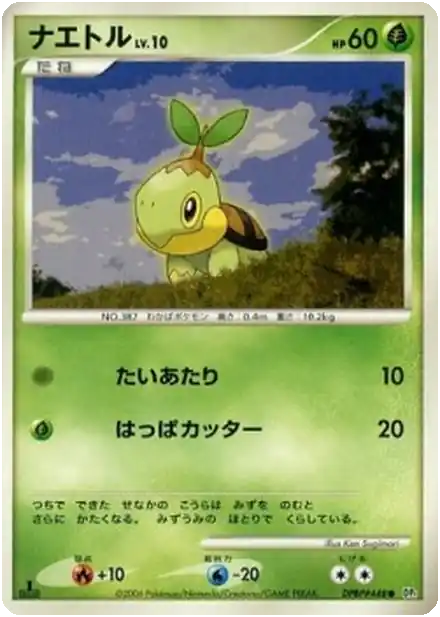 Tortipouss Lv.10