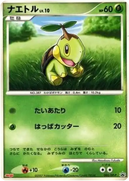 Tortipouss Lv.10