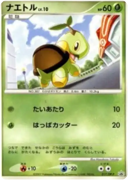 Tortipouss Lv.10