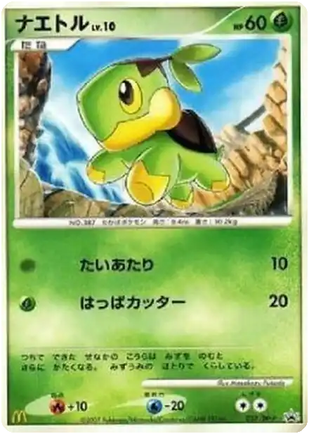 Tortipouss Lv.10