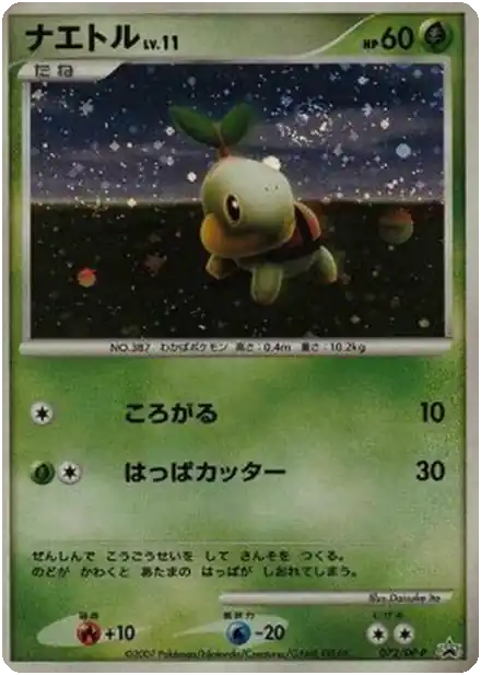 Tortipouss Lv.11