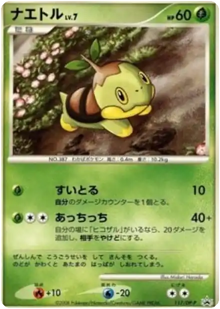 Tortipouss Lv.7