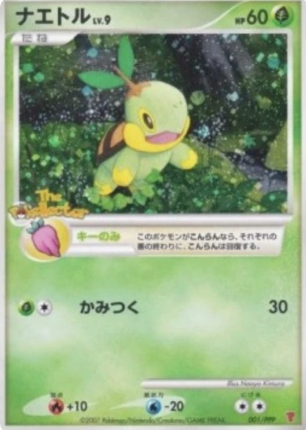 Tortipouss Lv.9