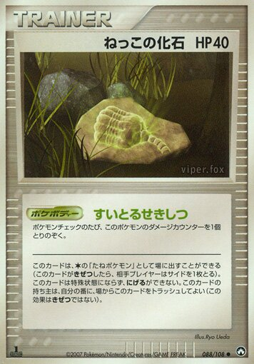 Fossile racine
