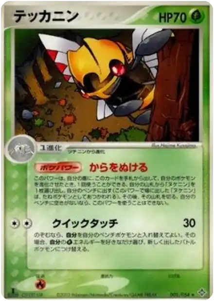 Ninjask