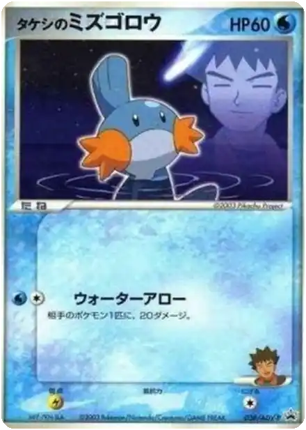 Brock's Mudkip