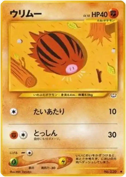 Swinub