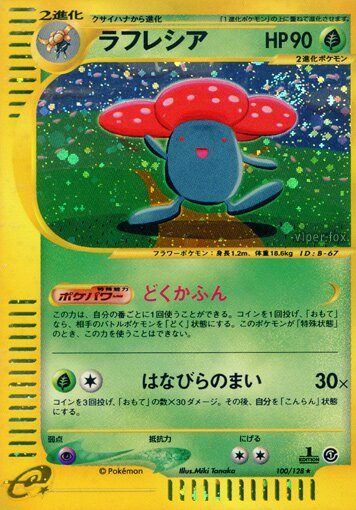 Rafflesia
