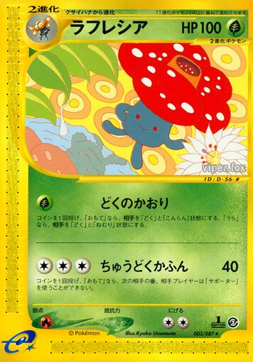 Rafflesia