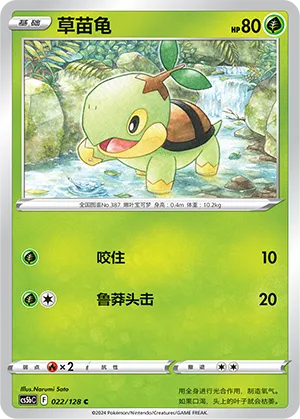 Tortipouss